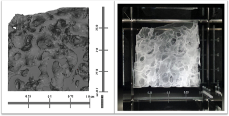 dados pré-clínicos de tomografia computadorizada de uma imagem de osso de ovelha dentro de vidro